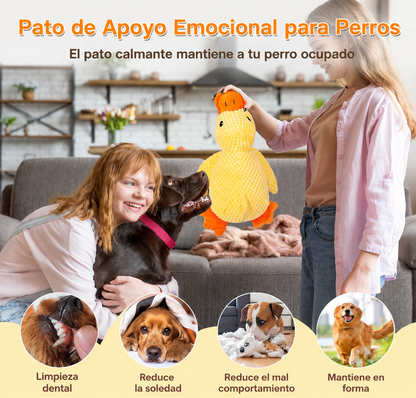 Pato Calmante DoggyDuck | Diversión y Compañía para tu Perro